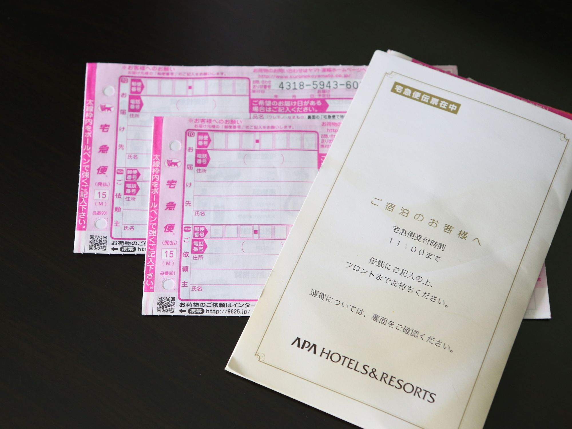 Apa Iidabashi-eki Minami Hotel 3*